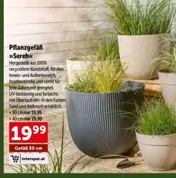 Interspar Pflanzgefäß Serek Angebot