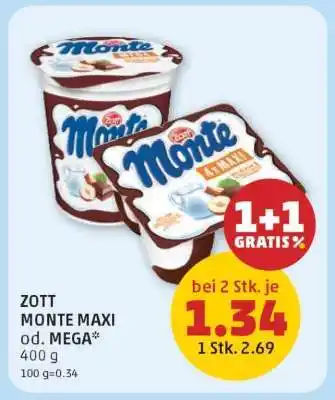 PENNY ZOTT MONTE MAXI Angebot