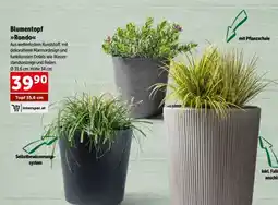 Interspar Blumentopf Rondox Angebot