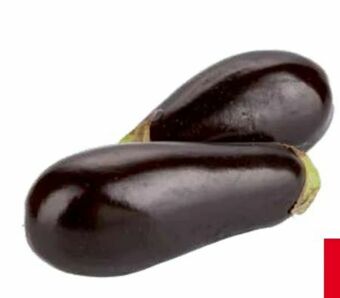 Transgourmet Melanzani Angebot