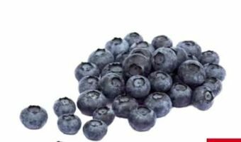 Transgourmet Heidelbeeren Angebot