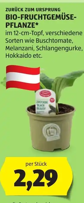 Hofer Bio-fruchtgemüse- pflanze Angebot