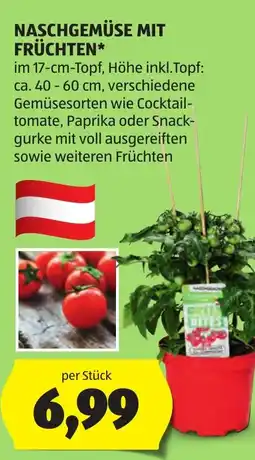 Hofer Naschgemüse mit früchten Angebot