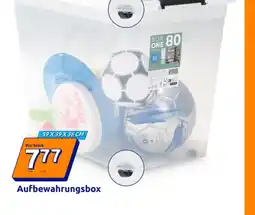Action Aufbewahrungsbox Angebot