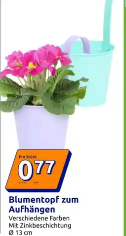Action Blumentopf zum Aufhängen Angebot