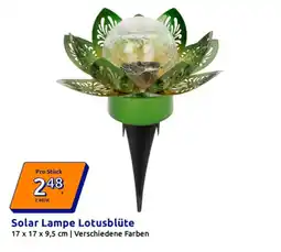 Action Solar lampe lotusblüte Angebot