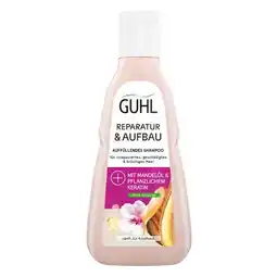 dm Shampoo div. Sorten dm Angebot