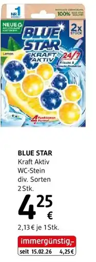 dm Kraft Aktiv WC-Stein Angebot