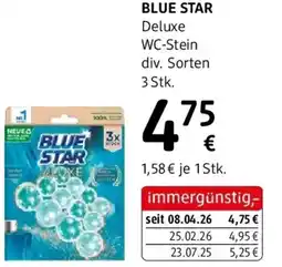dm Deluxe WC-Stein div. Sorten dm Angebot