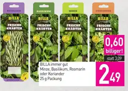 Sutterlüty Billa immer gut minze, basilikum, rosmarin oder koriander Angebot
