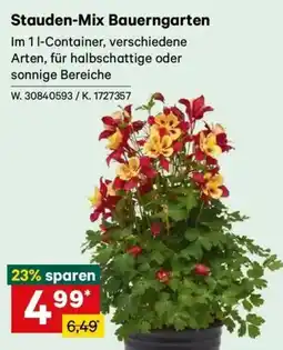 Lagerhaus Stauden-mix bauerngarten Angebot