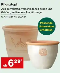 Lagerhaus Pflanztopf Angebot