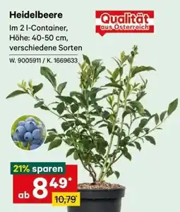 Lagerhaus Heidelbeere Angebot