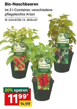 Lagerhaus Bio-Naschbeeren Angebot