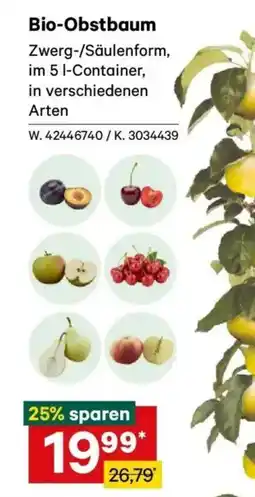 Lagerhaus Bio-Obstbaum Angebot