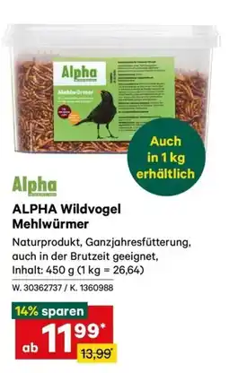 Lagerhaus Alpha wildvogel mehlwürmer Angebot