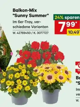 Lagerhaus Balkon-Mix Sunny Summer Angebot