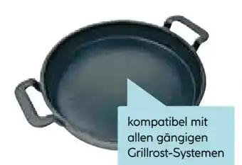 Hellweg Rothmann Grillrost-Einsatz Grillpfanne Angebot
