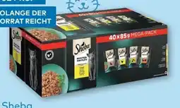 T&G Sheba Selection Angebot