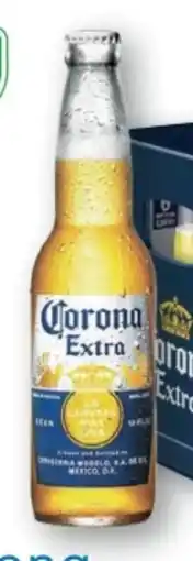 T&G Corona Extra Mexican Beer Angebot