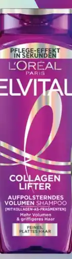 dm L'Oréal Paris Elvital Shampoo Collagen Lifter Angebot