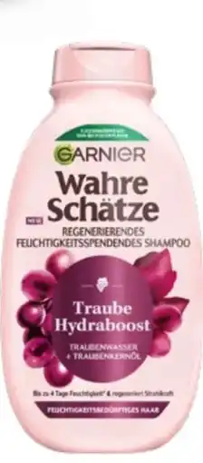 dm Garnier Wahre Schätze Shampoo Angebot