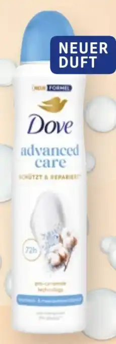 dm Dove Deospray advanced care Angebot