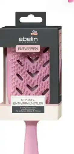 dm Ebelin Styling-Entwirrkünstler Angebot