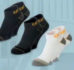 Hofer CAT Damen Arbeits-Sneakersocken Angebot