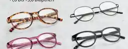Hofer Optika Damen Fertig-Lesebrille Angebot