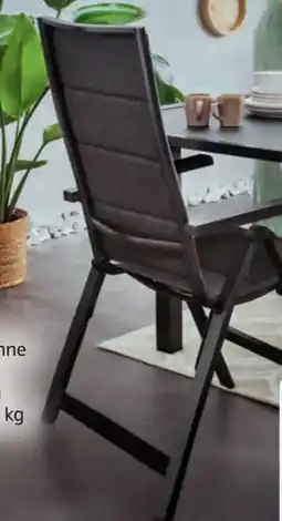 Hofer Belavi Alu-Klappsessel Angebot