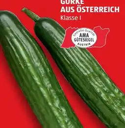 Hofer Hofer Marktplatz Gurke Angebot