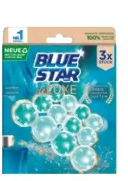 dm Blue Star WC-Stein Deluxe Angebot