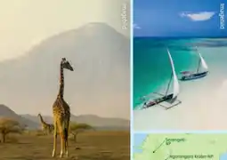 Hofer Hofer-Reisen Tansania-Sansibar Safari-Baden Angebot