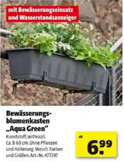 Hagebau Bewässerungs- blumenkasten aqua green Angebot