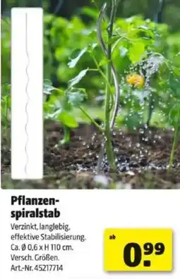 Hagebau Pflanzen- spiralstab Angebot
