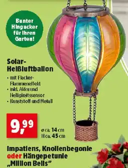 Thomas Philipps Solar- Helßluftballon Angebot