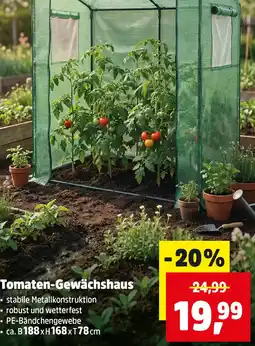 Thomas Philipps Tomaten-Gewächshaus Angebot