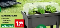Thomas Philipps Küchenkräuter Angebot