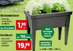 Thomas Philipps Hochbeet Angebot