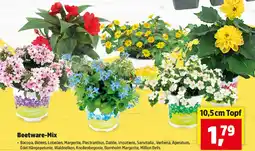 Thomas Philipps Beetware-Mix Angebot