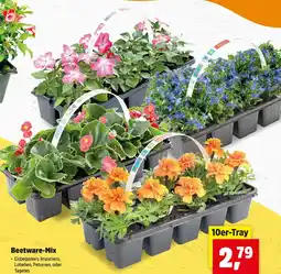 Thomas Philipps Beetware-Mix Angebot