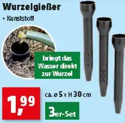 Thomas Philipps Wurzelgießer Angebot