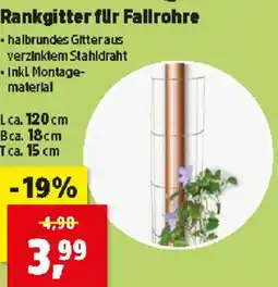 Thomas Philipps Rankgitter für Fallrohre Angebot