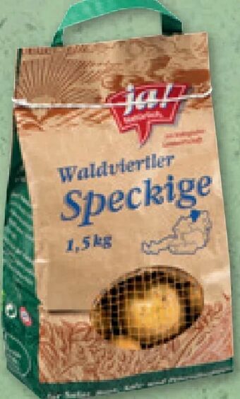 ADEG Bio Erdäpfel Angebot