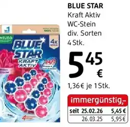 dm Blue star kraft aktiv wc-stein Angebot
