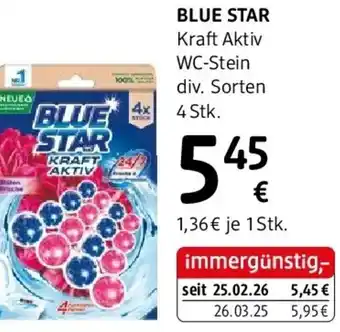 Blue star kraft aktiv wc-stein