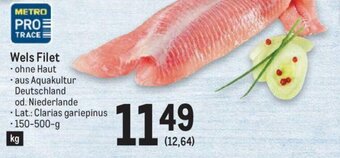 Metro Wels Filet Angebot