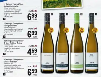 Metro 1| Weingut Thiery Weber Gelber Muskateller Angebot
