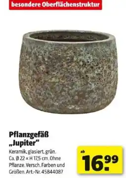 Hagebau Pflanzgefäß Jupiter Angebot